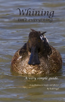 Whining Isn't Everything