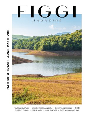 FIGGI MAGAZINE - NATURE & TRAVEL APRIL (Vol 2101)
