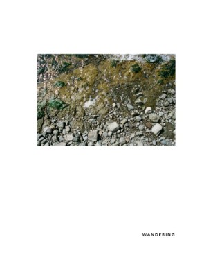 Wandering