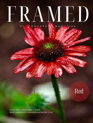 Framed Photographer Magazine, Issue 177