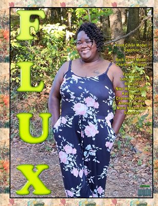 FLUX 11272024