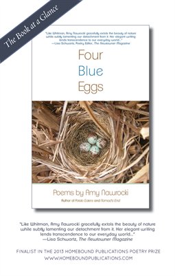 Four Blue Eggs | Book at a Glance