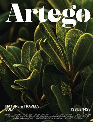 Publication preview