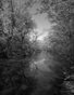 Coster Scott: Emerald Necklace (Paradise Lost and Found)