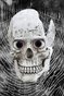 Skull Poster with Web