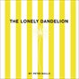The Lonely Dandelion