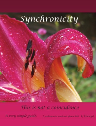 Synchronicity