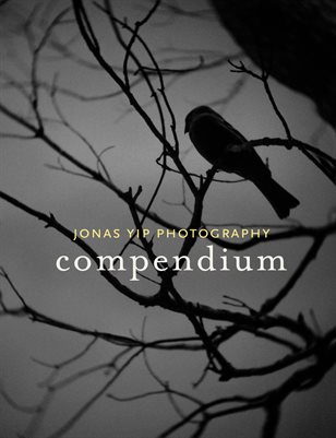 Compendium 2017