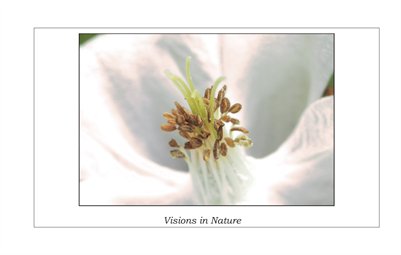 Nature Images