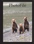PhotoFile #1 - Chinitna Bay Bear Camp
