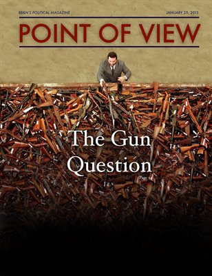 Point of View - January 2013