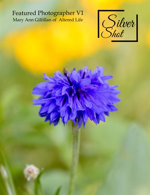 Featured Photographer v1