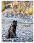 Wolves of Yellowstone Calendar 2020