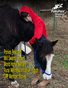 March 2020 Pony Pals Magazine - Vol.9 #10