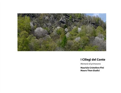 I ciliegi del Conte