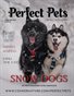 02 Perfect Pets - The Pet Pals Edition Issue 2 February 2024