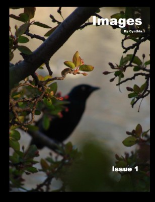 Publication preview