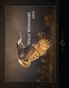 Wild Wonders 2016 Calendar