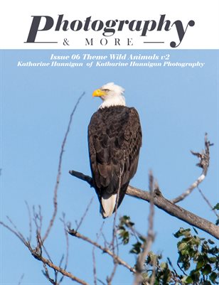 Issue 06 Theme Wild Animals V2
