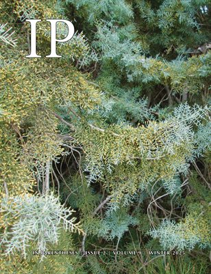 In Parentheses Literary Magazine (Volume 9, Issue 2) Winter 2025