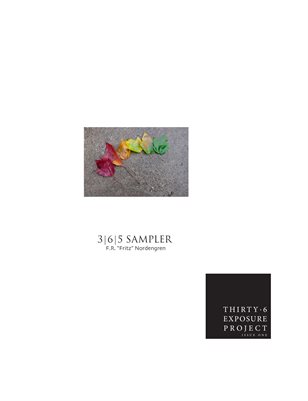 Thirty-6 Exposure Project Issue One