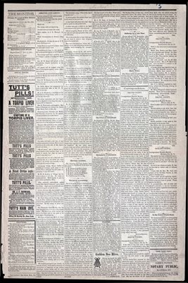 (PAGES 3-4) MARCH 01, 1879 MAYFIELD MONITOR NEWSPAPER, MAYFIELD, GRAVES COUNTY, KENTUCKY