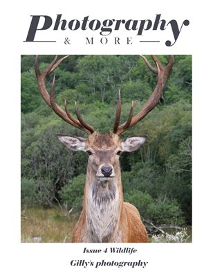Issue 4 Wildlife