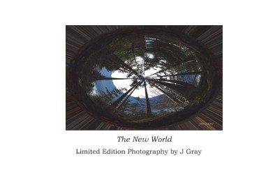 Publication preview