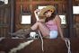 Venus Tru Cowgirl Pinup 2