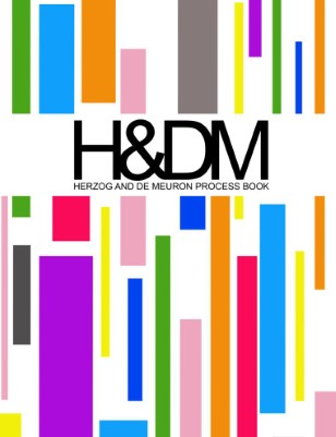 H&DM Process Book