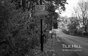 Tile Hill