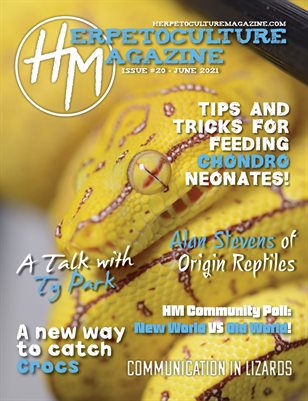 Issue #20 - June 2021