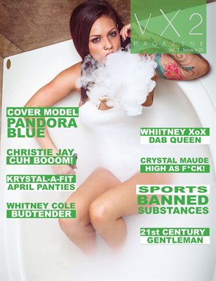 VX2 Magazine (Vol 1 issue 4.20)