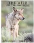 Wildlife of Yellowstone and beyond