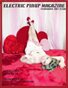 Electric Pinup Magazine February 2017 Issue 