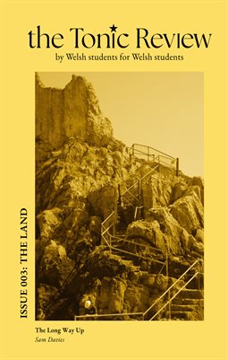Tonic Issue 003: The Land