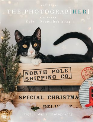 Cats | December 2024