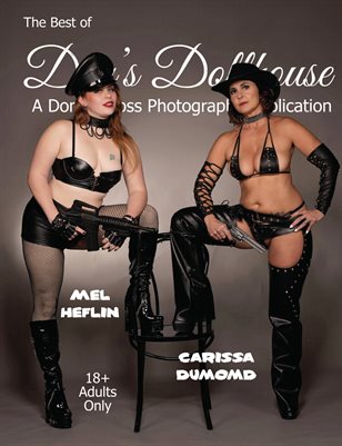 The Best of Don's Dollhouse, Volume XXV