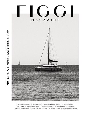 Publication preview
