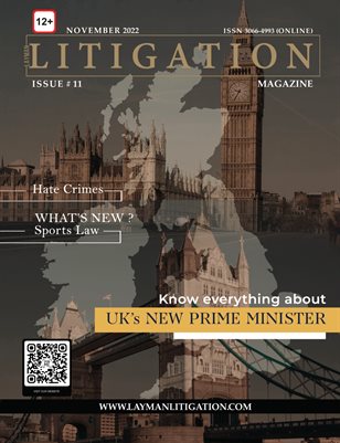 November 2022 Edition- Layman Litigation