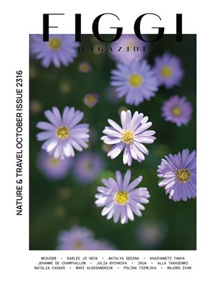 FIGGI MAGAZINE - NATURE & TRAVEL OCTOBER (Vol 2316)