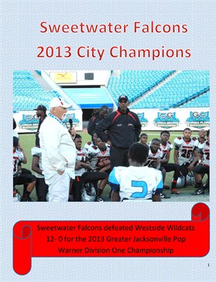 Sweetwater Falcons Jacksonville 2013 City Champions