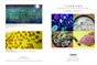 Sabra Booth, Tidemark: Coastal Explorations at K Space Contemporary 