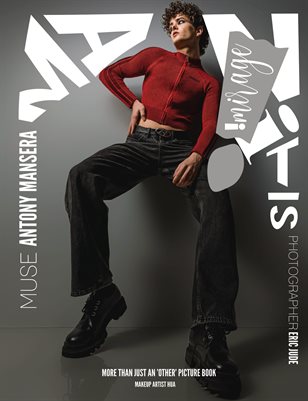 Publication preview