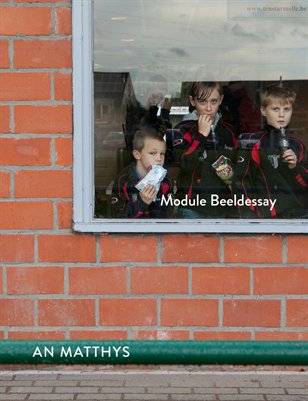 An Matthys beeldessay 2013