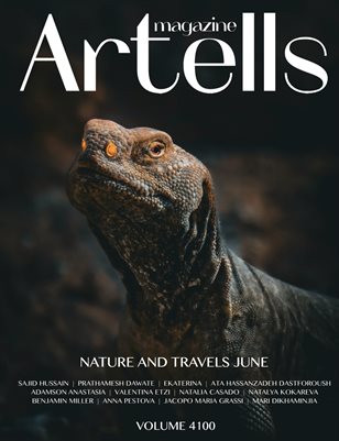 Publication preview