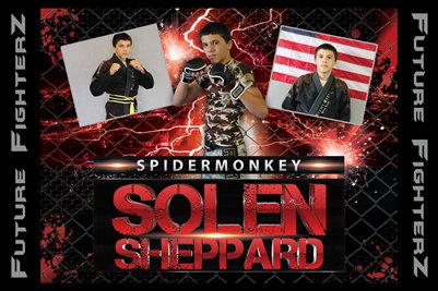 Solen Sheppard Poster 2015