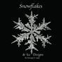 Snowflakes & Ice Design
