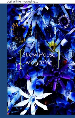 Straw House Magazine #1: The Double Big Boy Edition