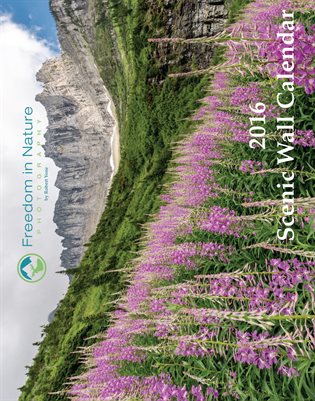 2016 Scenic Landscape and Wildlife Calendar
